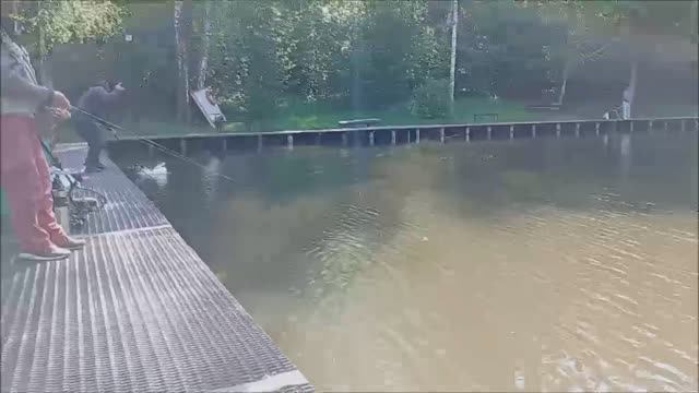 Рыбалка на спорт зоне по ловле форели. Клёвое место лосиный остров.