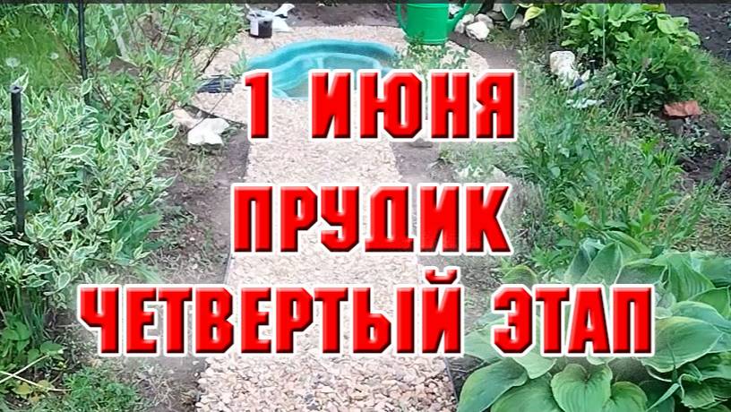 1 июня. Зона нового прудика. Четвертый этап