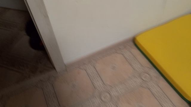 гена и сон это
антонимы😳