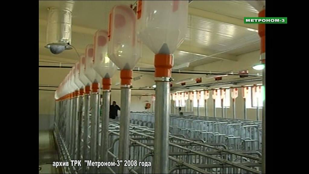 ТБИЛИССКИЙ РАЙОН АГРОФИРМА "КАВКАЗ" 2008Г.