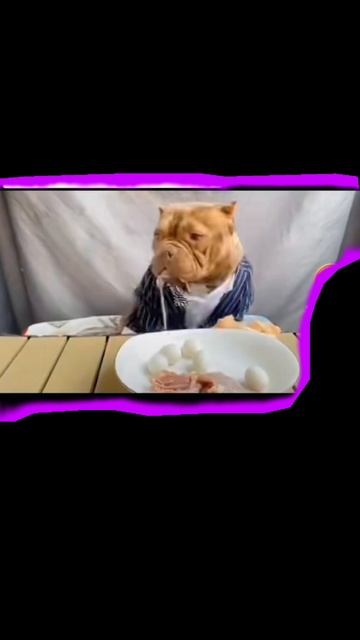1000028070.mp4