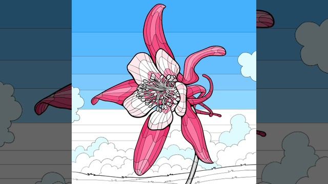 02-06-2025