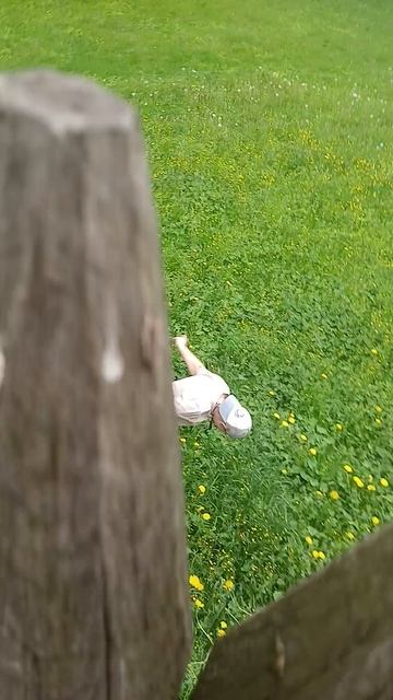 Крепость