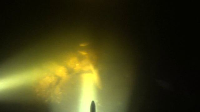 Подводная охота с Алексеем ( 7.04.2025)