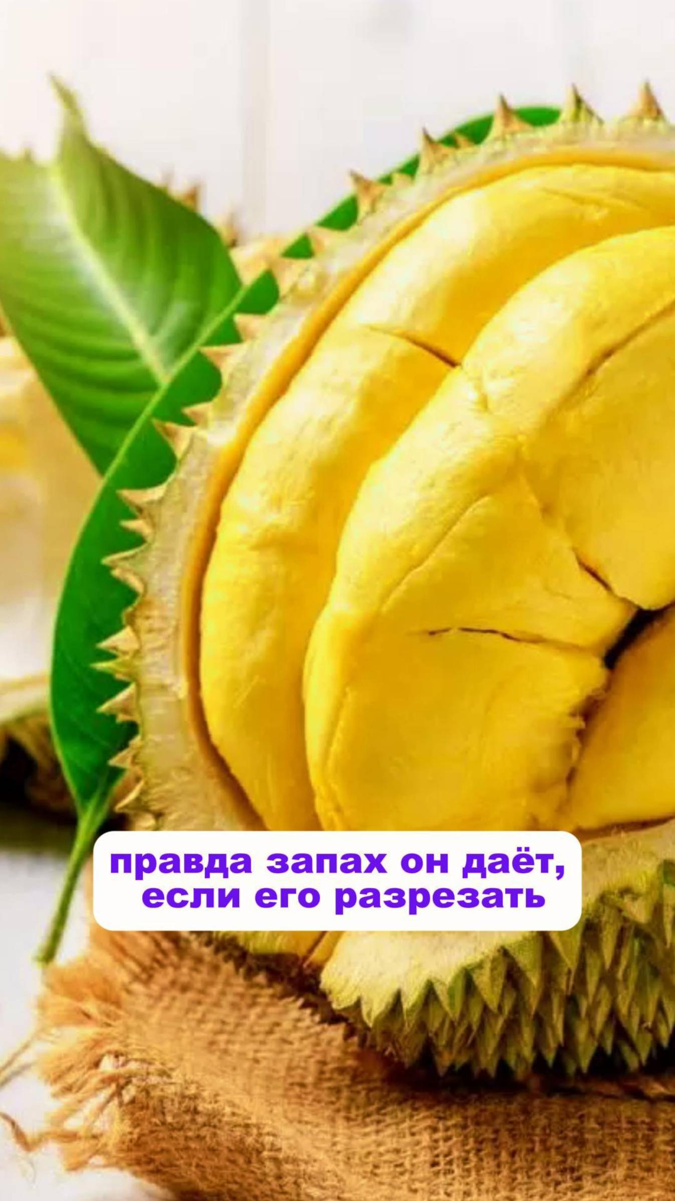 Памятник ДУРИАНУ в Таиланде!