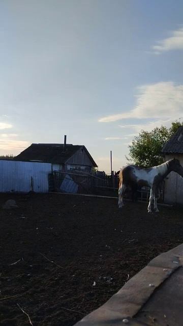 Моё утро начинается не с кофе это точно. 😉