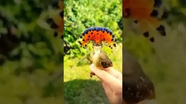 Певцы, танцоры и артисты