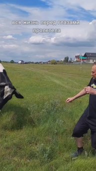 Вся жизнь перед глазами.