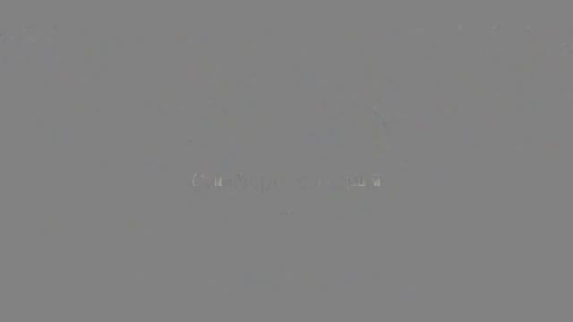 Сильвер "Париж"