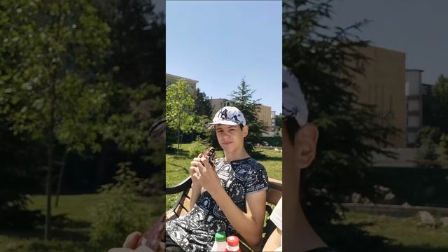 petal_20250601_123725.mp4