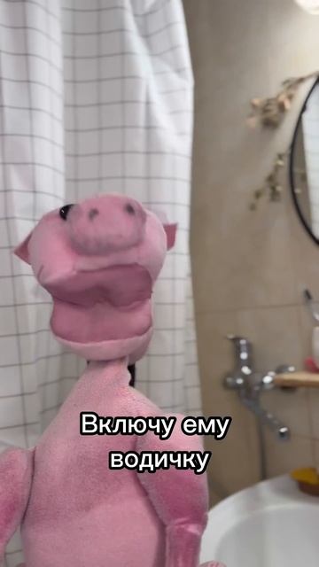 Парась стихоплëт @Kamyshnikovs #енотки #фиксики
