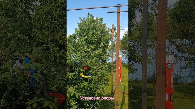 Защищаем жимолость от птиц
