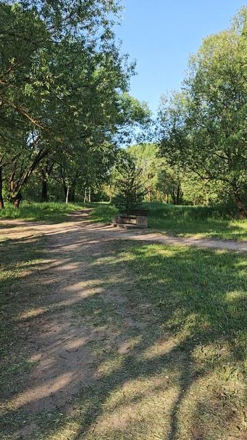 г.Тверь 02.06.25 ⏰7:00АМ, +12° День здорового питания!
