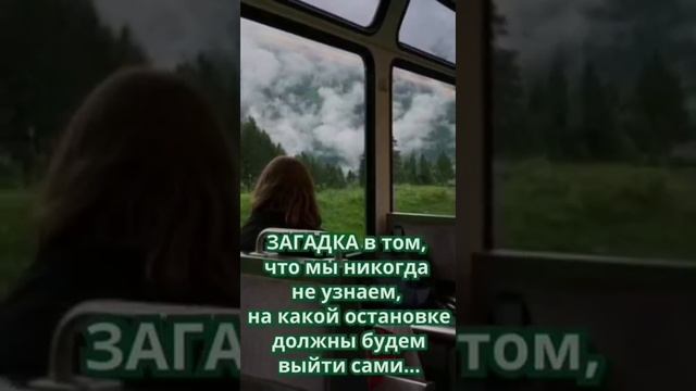 загадка в том, что.....mp4
