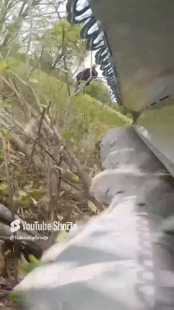 Жесткий замес в лесу для получения чистого поля для урожая #мульчер и #ротоватор на #МТЗ 89261385927
