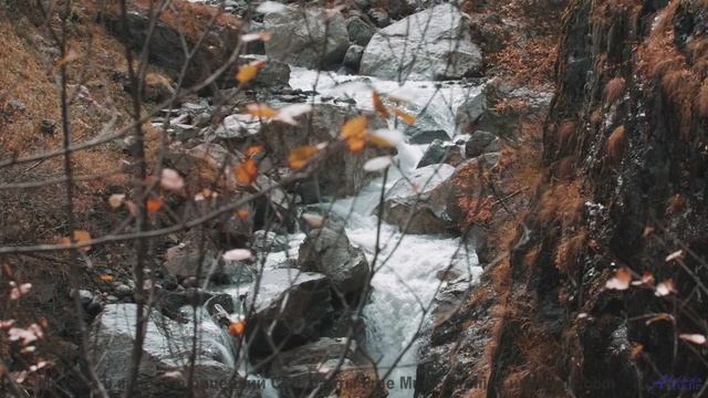 Эта мелодия - как шёпот любимого на рассвете... - Oopsy Daisy -- Forget the Whale -- You. Me. Talk.