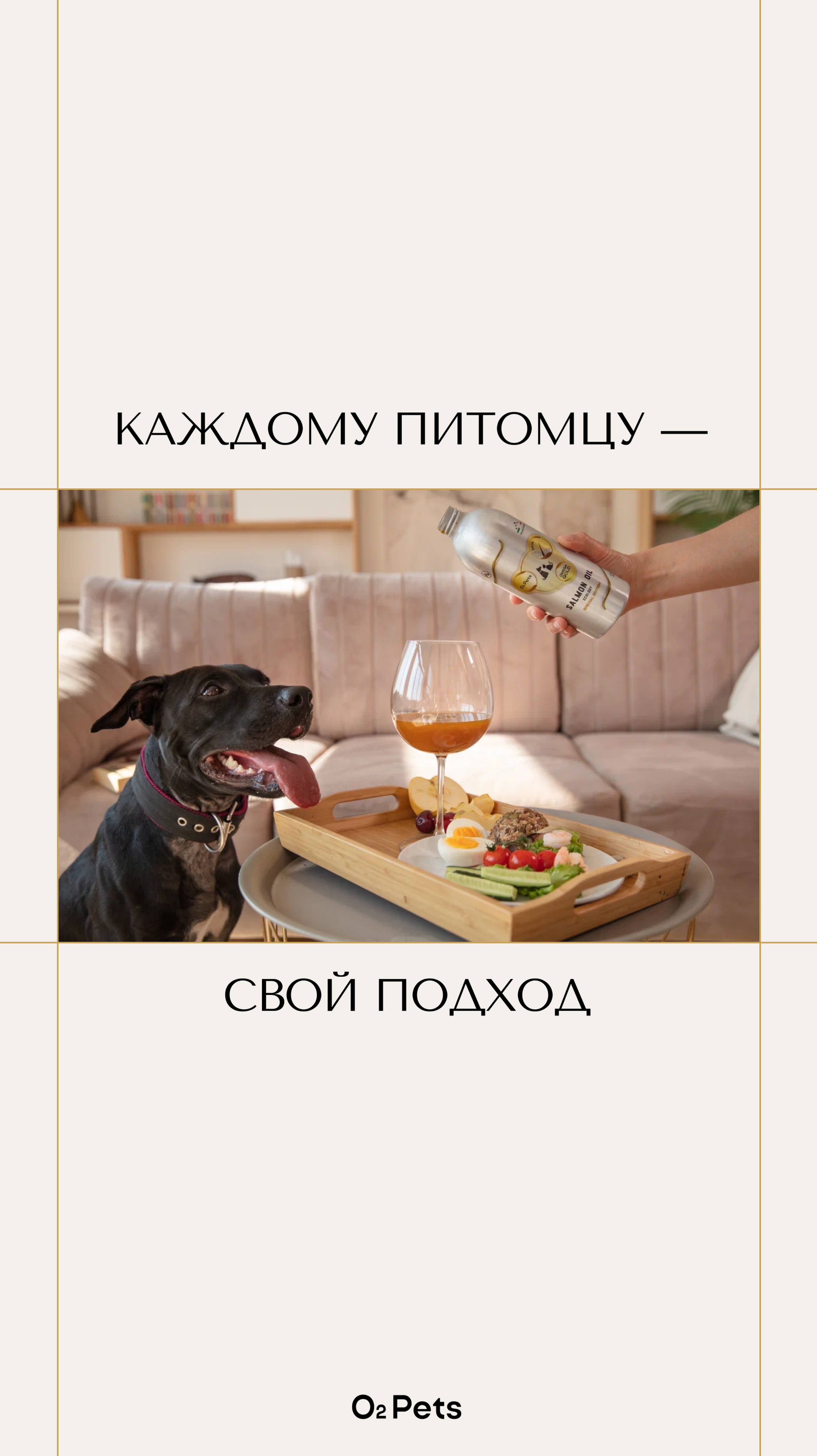 Каждому питомцу — свой подход