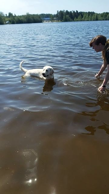 Симба первый раз в воде
