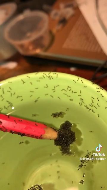 😱😱😱