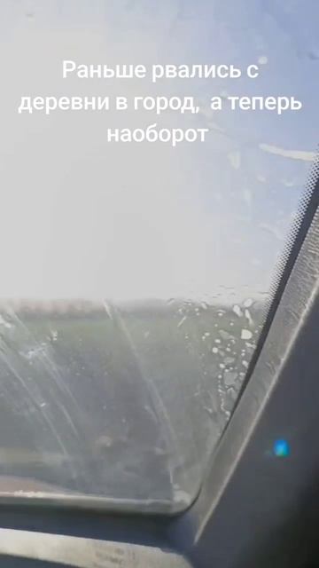 scene_output.mp4