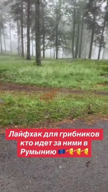 Хорошие лайфхаки для тех, кто хочет жить, вариантов у них немного осталось