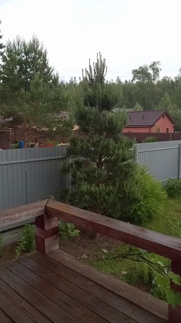 Погода как женщина🥴💯🙏#лето#жизньзагородом