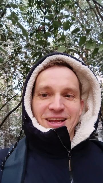в Сочи