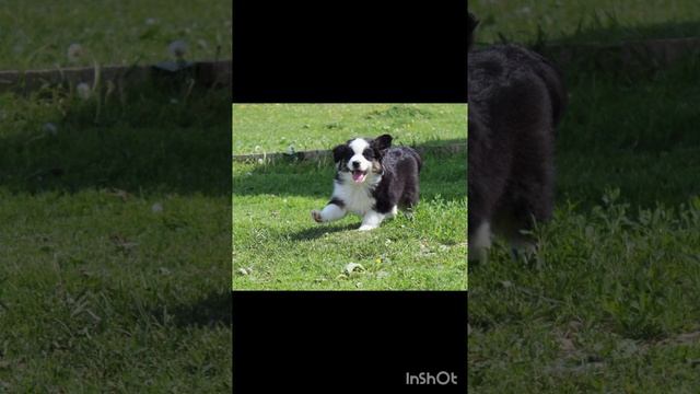 1000135155.mp4