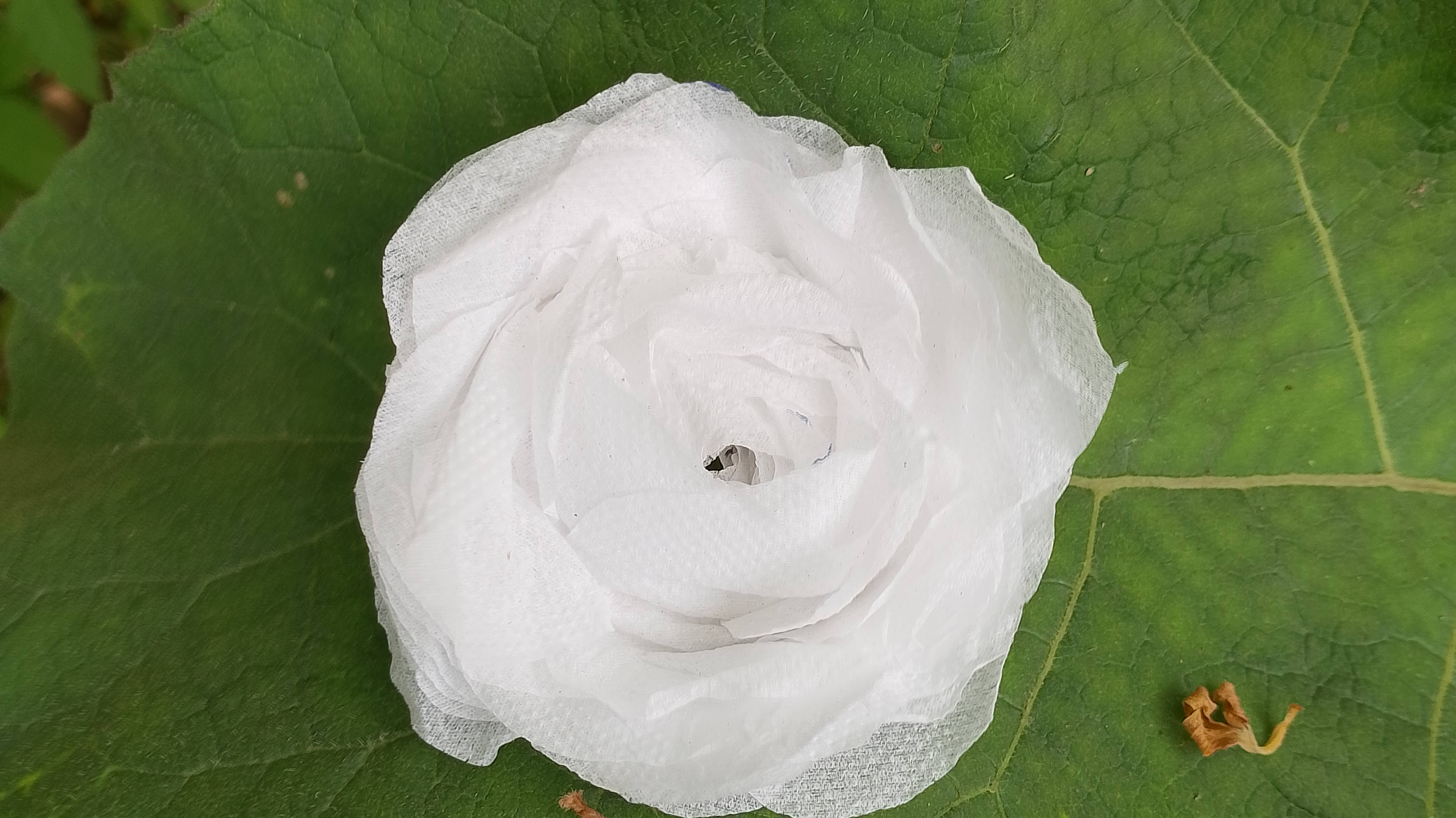 Тутор как сделать розу и туалетки