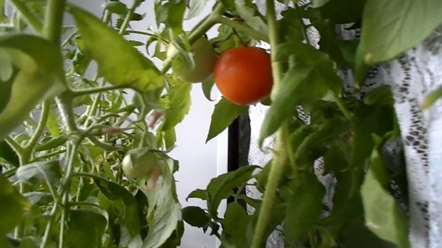 апрель -2020