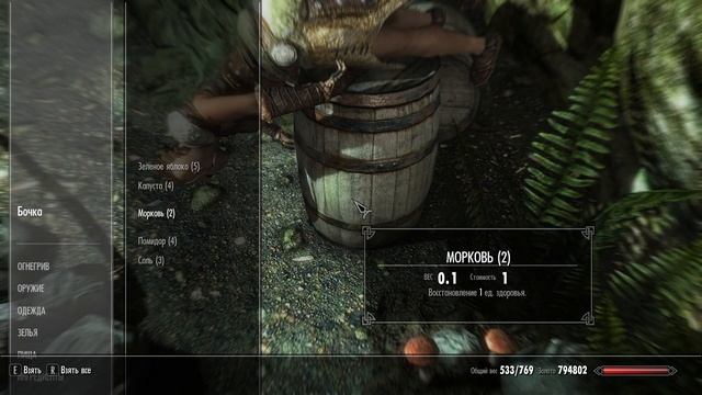 ВЕРНАККУС И БУРЛОР — Skyrim (КНИГИ)