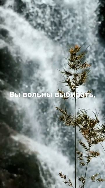 Это Ваш выбор!
