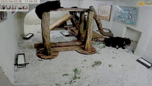 После маленького перекуса пора на спортивные снаряды