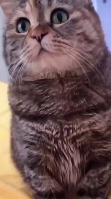 когда она приготовила и ждёт твою реакцию 😄