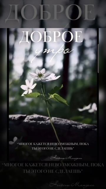 Доброе утро #доброеутро #благодарность