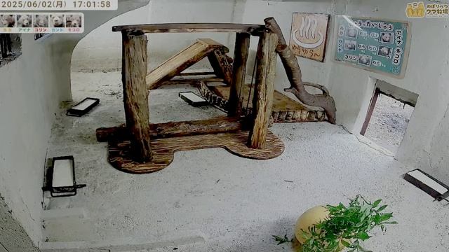Новый день и новая обстановка.