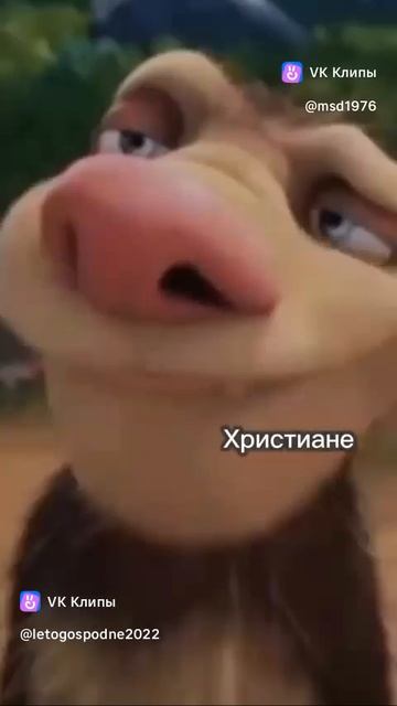 верую