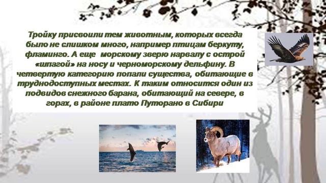 Кто придумал Красную книгу