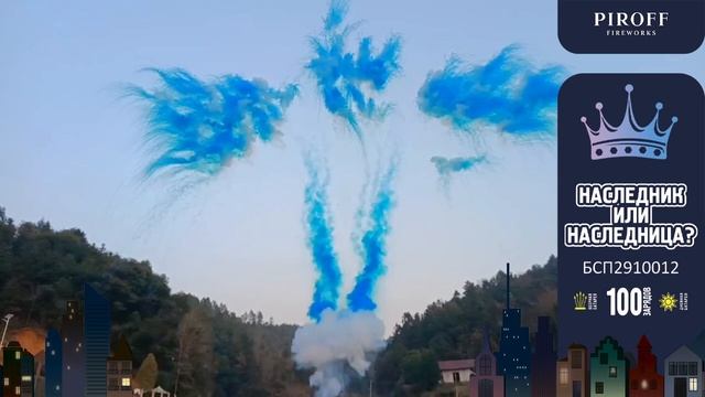 БСП 2910012 Гендерный салют наследник или наследница (Blue) 11