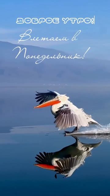 Влетаем в понедельник