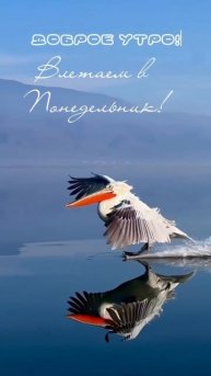 Влетаем в понедельник