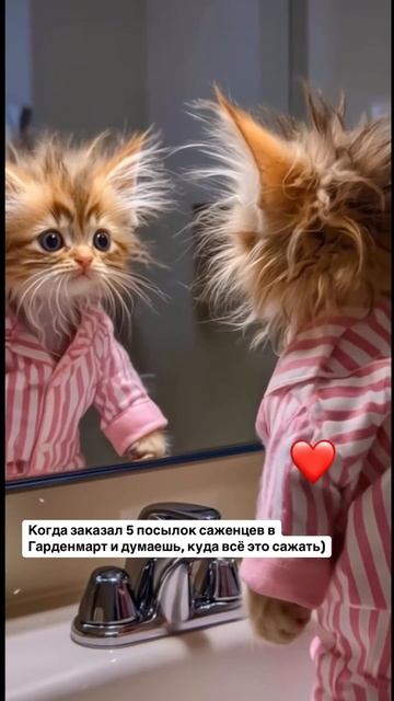 Саженцы купил, а место для них недостаточно. Вот стоишь зеркала и думаешь #Гарденмарт_юмор