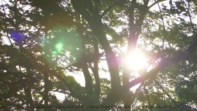 Музыка ведёт туда, где кончаются заботы - To the lands Beyond the Sun -- Ihsan + The Cabinet of Dr.