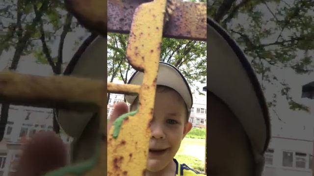 Лера сегодня привезла весь садик детский