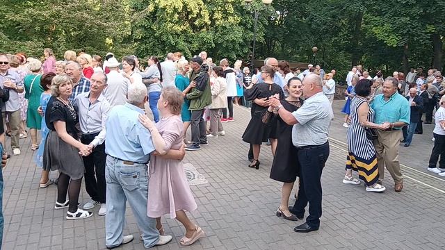 Клён....... 01.06.25 Гомель парк Луначарского 🥰💫