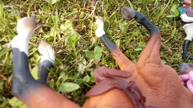 лошади шляйх один день глазами лошади