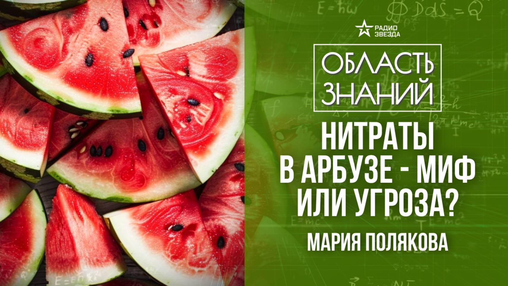 История арбуза. Лекция агронома Марии Поляковой