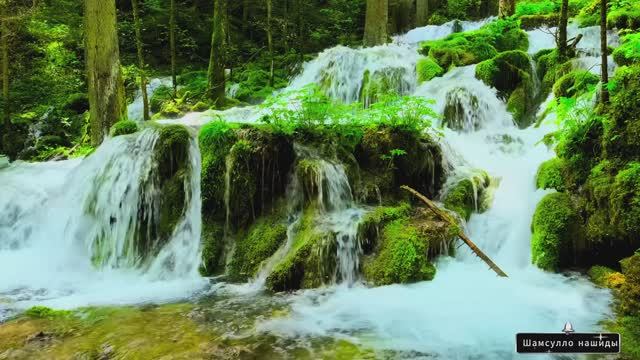 #Коран#Худ#СамыеКрасивыеМеста#Relaxation##Islam#Quran#Hood#Minshawiy 4кВидео#13часть#