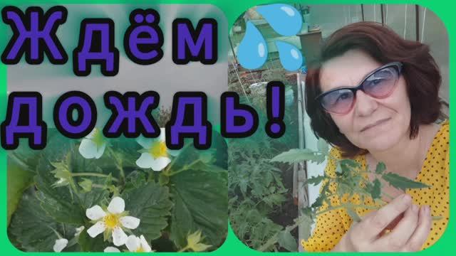 Я его так ждала, но видно не судьба! 🤷♀️
