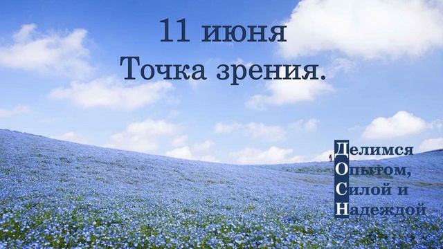 11 июня. Точка зрения.